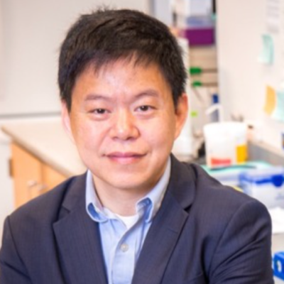 Professor Peter Wang